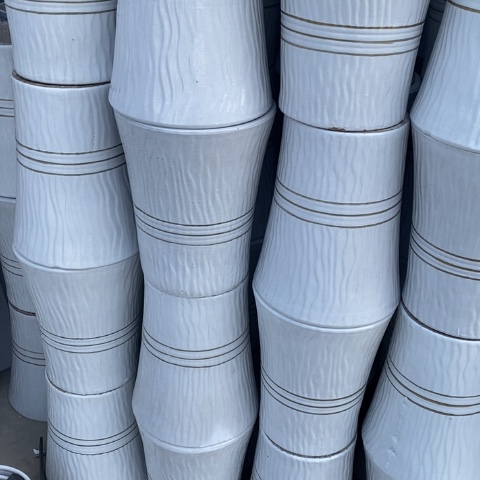 低腰白色金腰线中号25*32