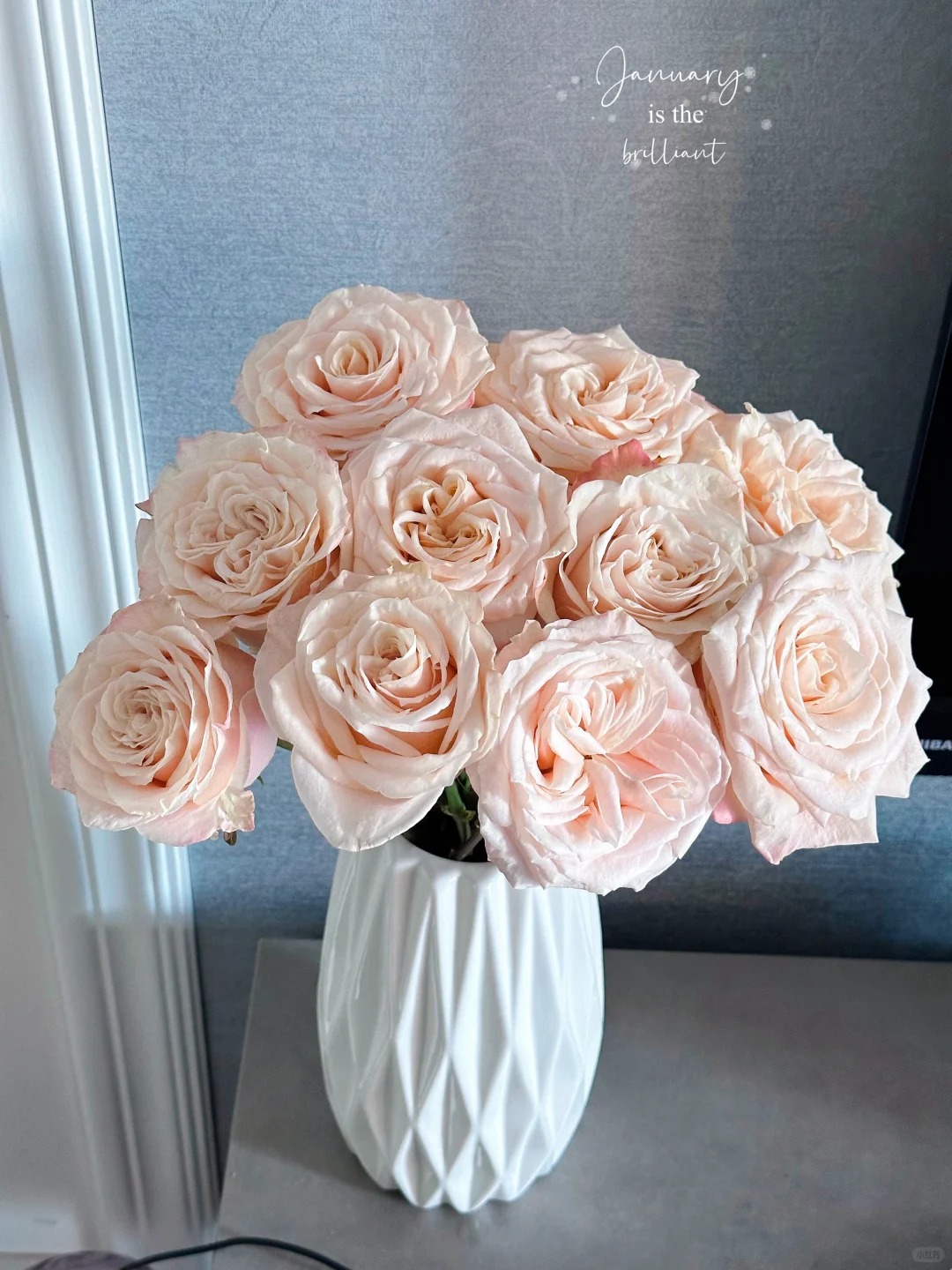 暖心奶油酥--单头玫瑰--（收到花第一时间带包装醒花）