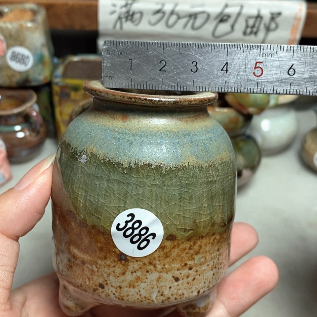 拍5送一个小礼物