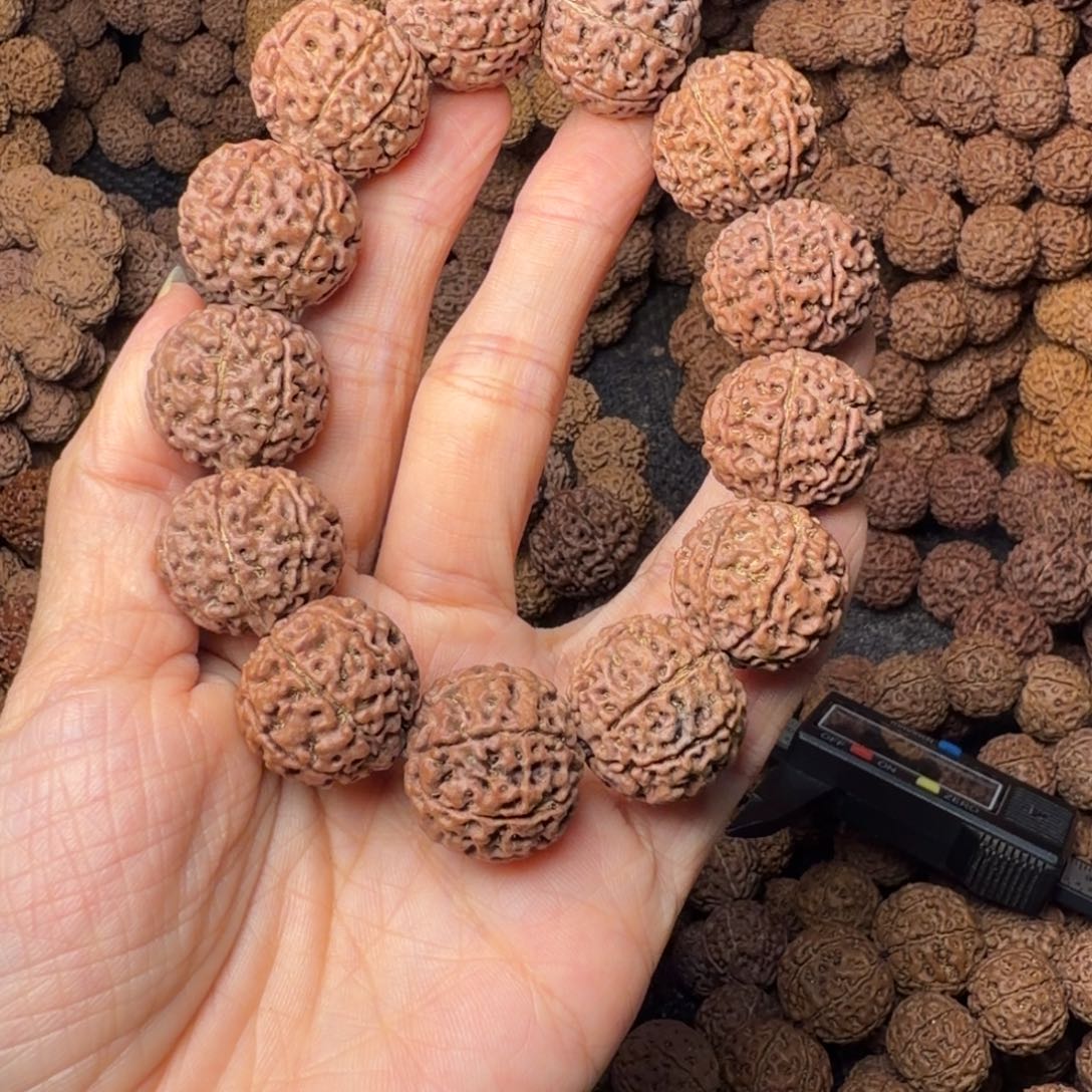 金刚菩提手串7瓣卡20尺，116号