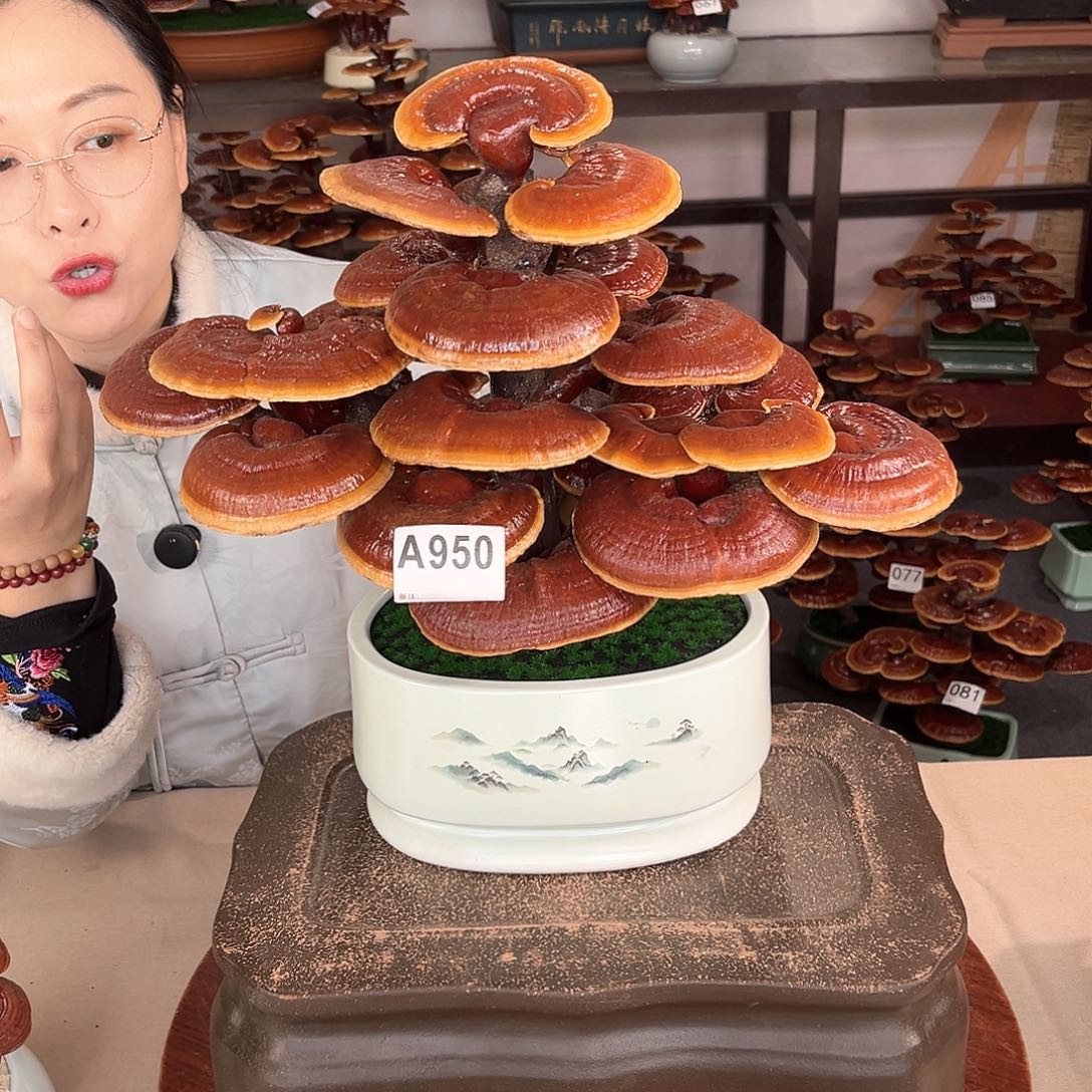 万事如意888888950