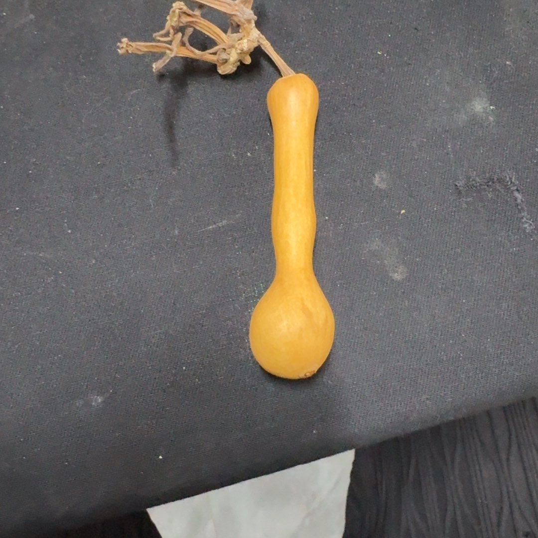 精品葫芦系列产品