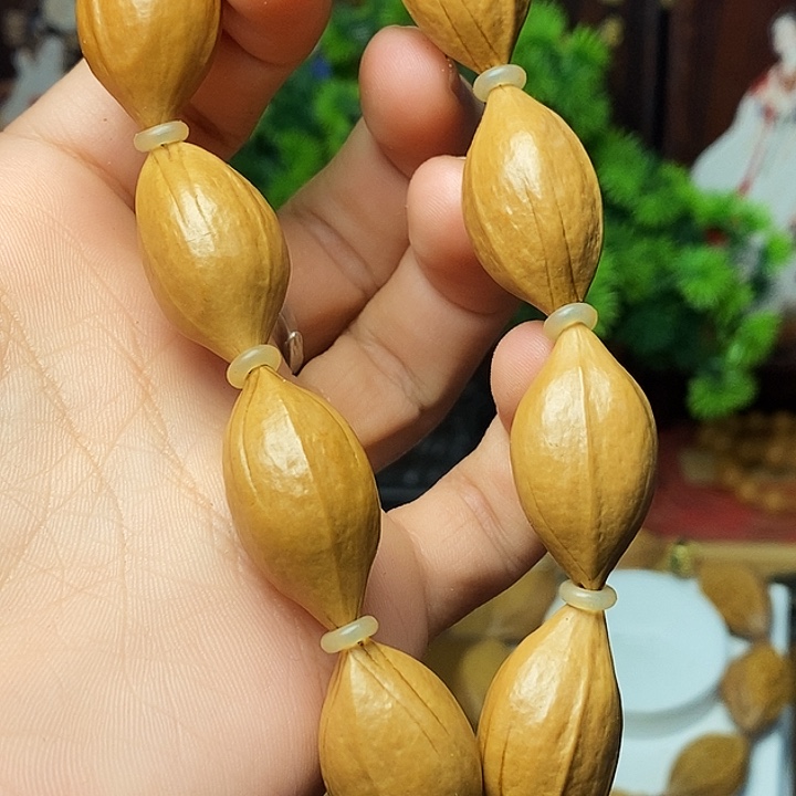 橄榄核手串/手链jjjjjjjjjjjjjjjnnnnnnnn