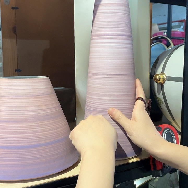 陶瓷花瓶。 绿植。 