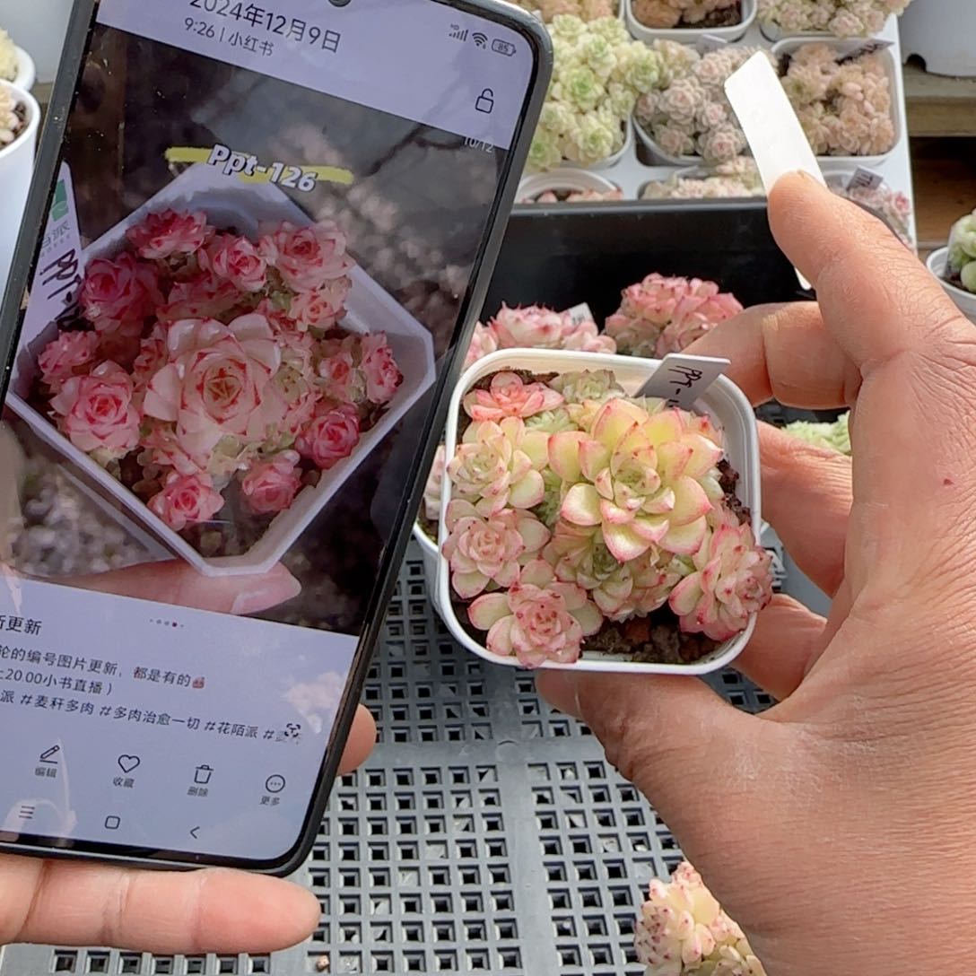 【闪购商品】0206-51（ppt-26）