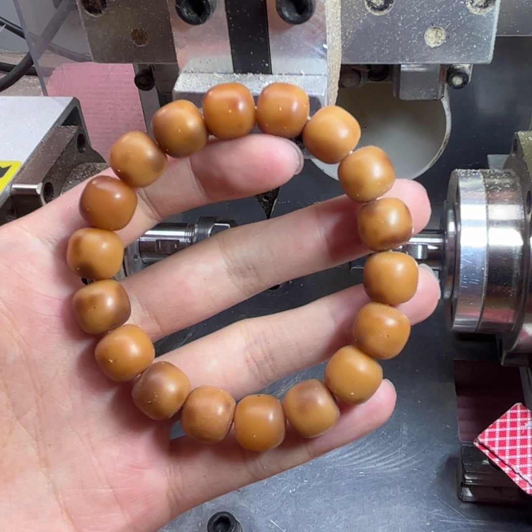 吊坠菩提根/象牙果