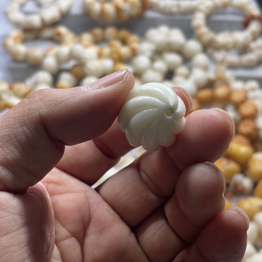 快***边菩提根/象牙果吊坠全品妞妞珠一个