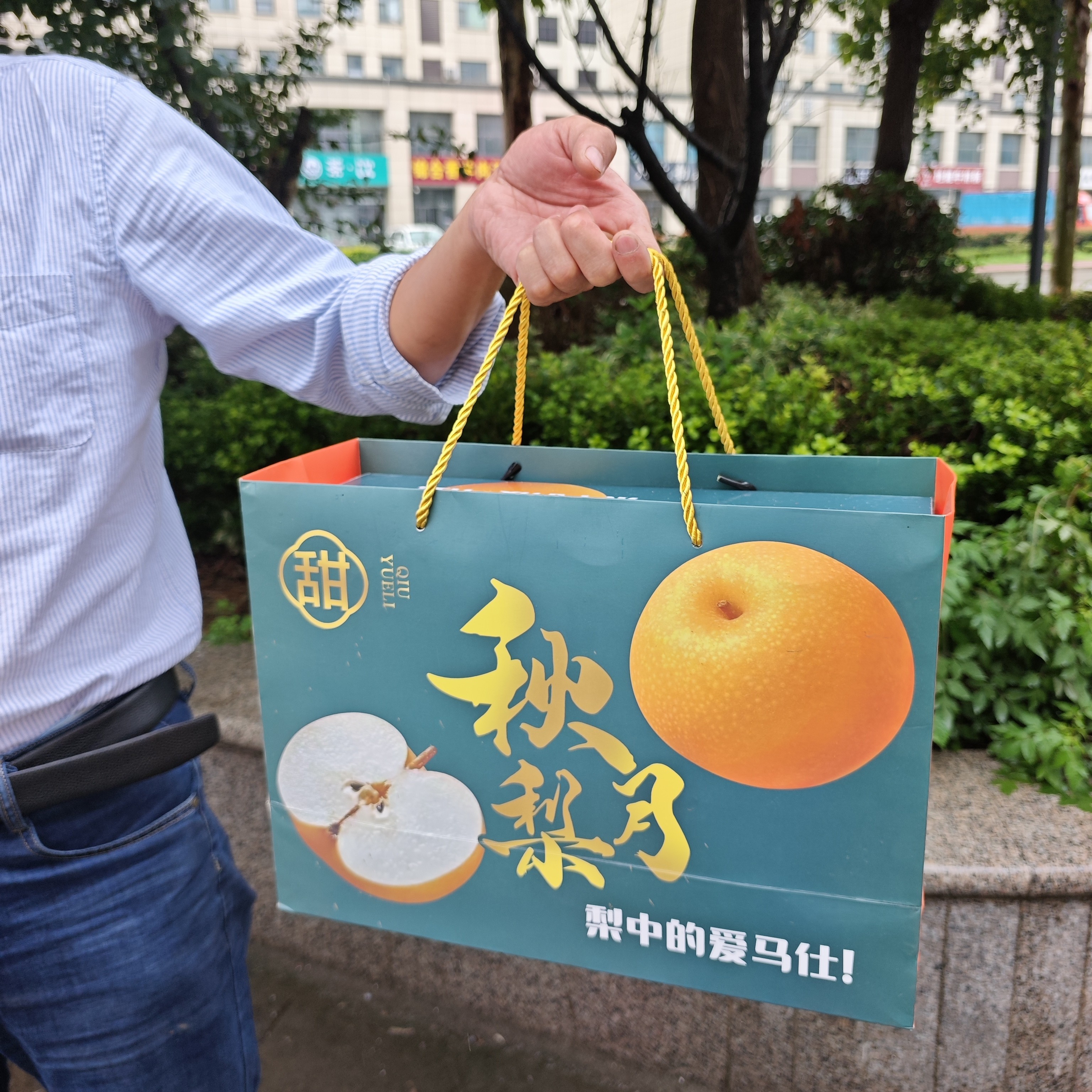 【精品礼盒】正宗特级山东秋月梨脆甜多汁入口细腻无渣露天当季新鲜