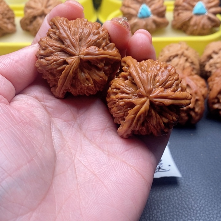 二***一恭喜大哥喜提爱核