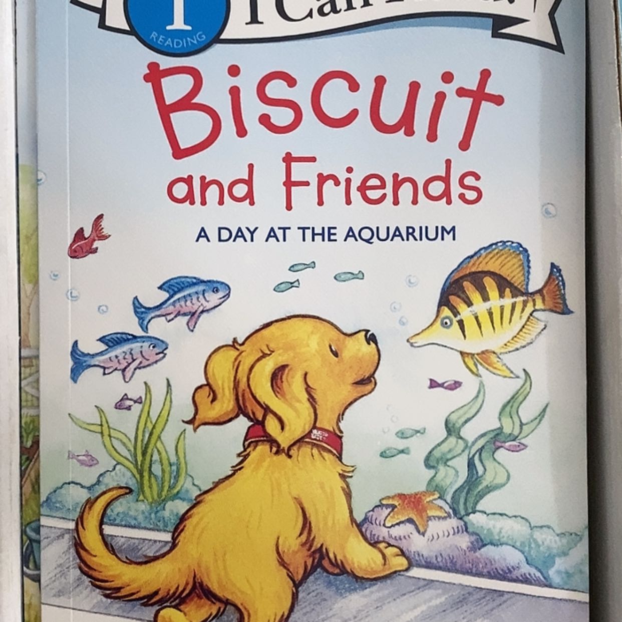 【闪购商品】饼干狗30本蝌蚪