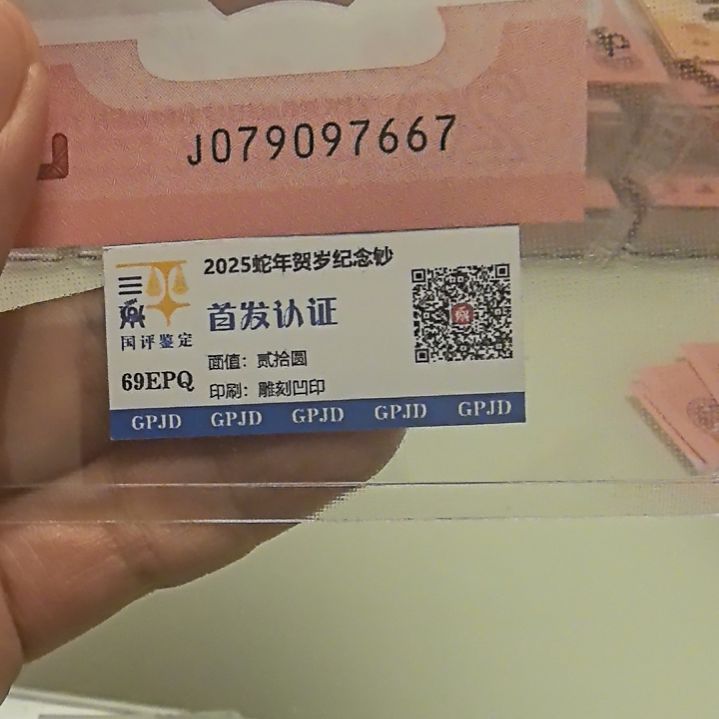塑料蛇年生肖纪念钞全大号97667