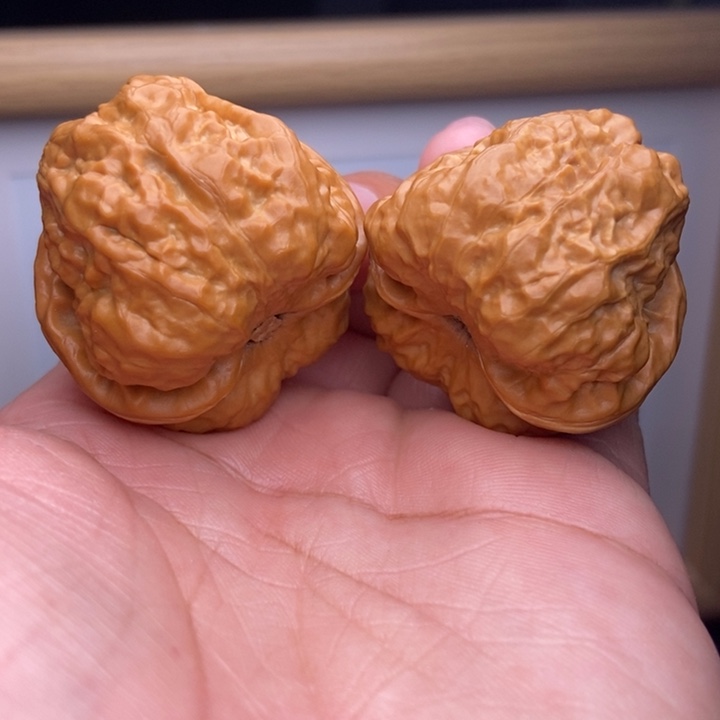 核桃小尺寸蛤蟆头