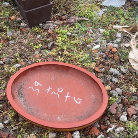 红陶紫砂花盆盆景盆栽