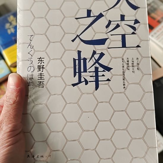 t东野圭吾天空之峰