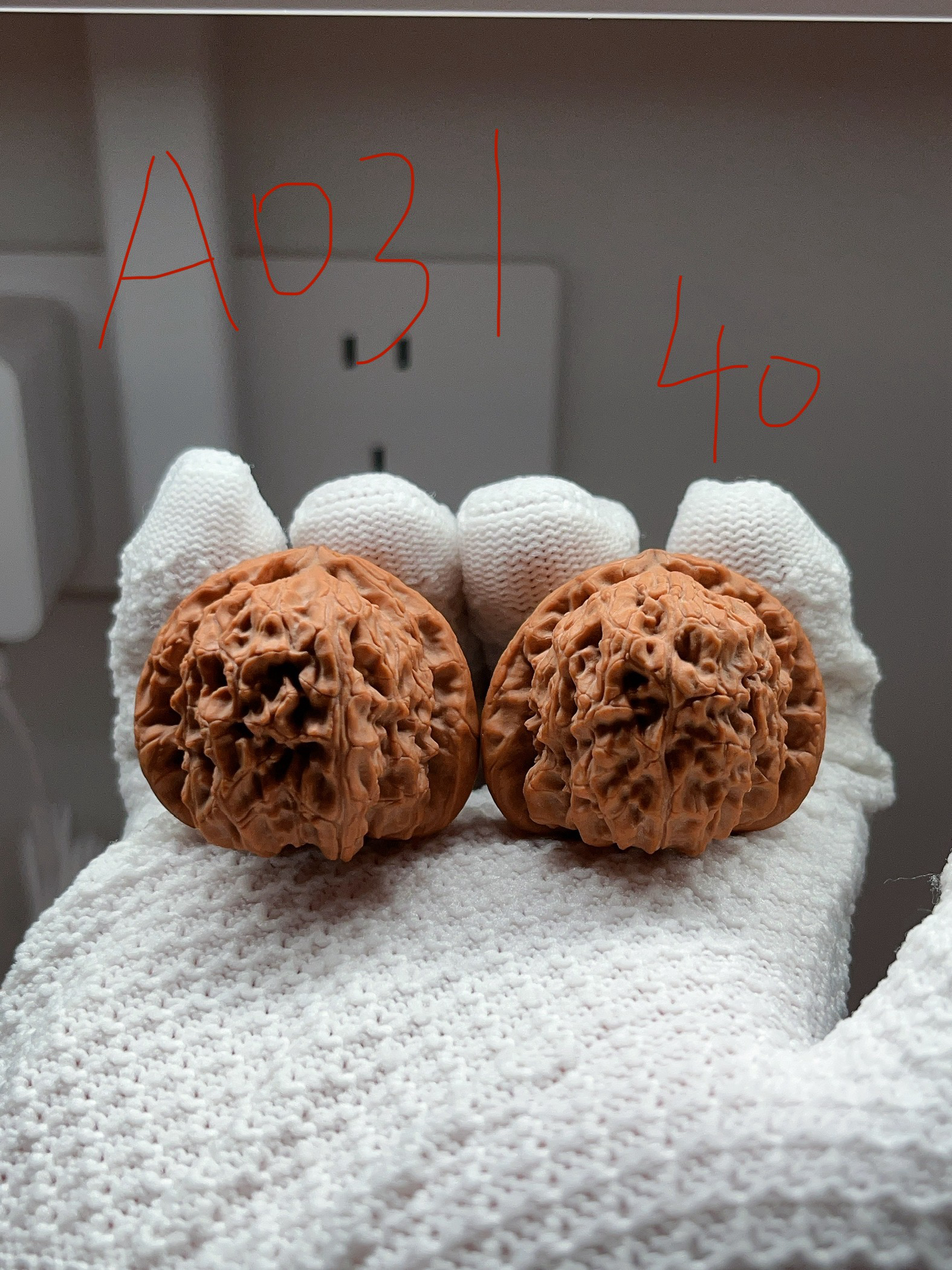 正杨系列-40尺白狮子A031