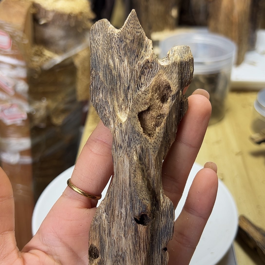 木绿奇楠虫漏原材料25克