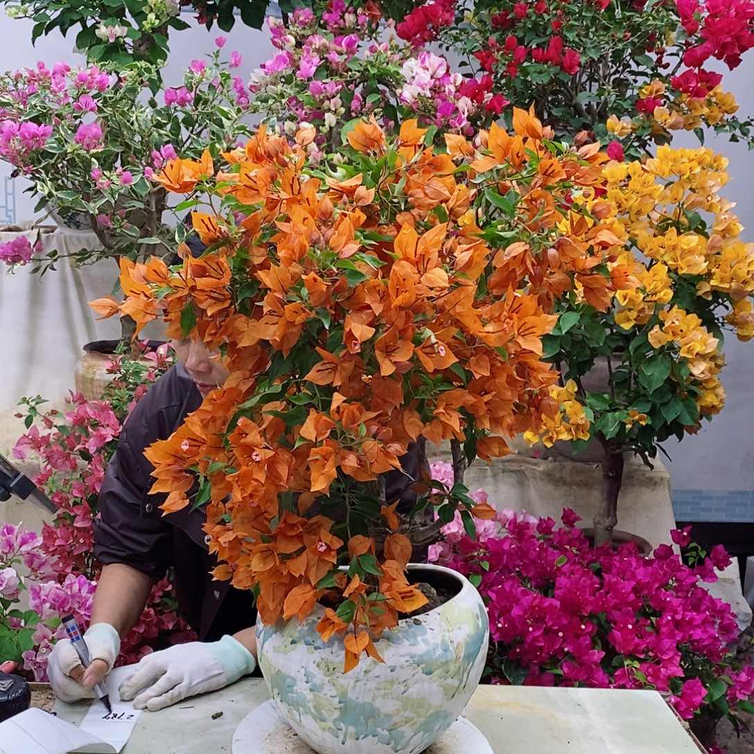 完全开放我要好好学习