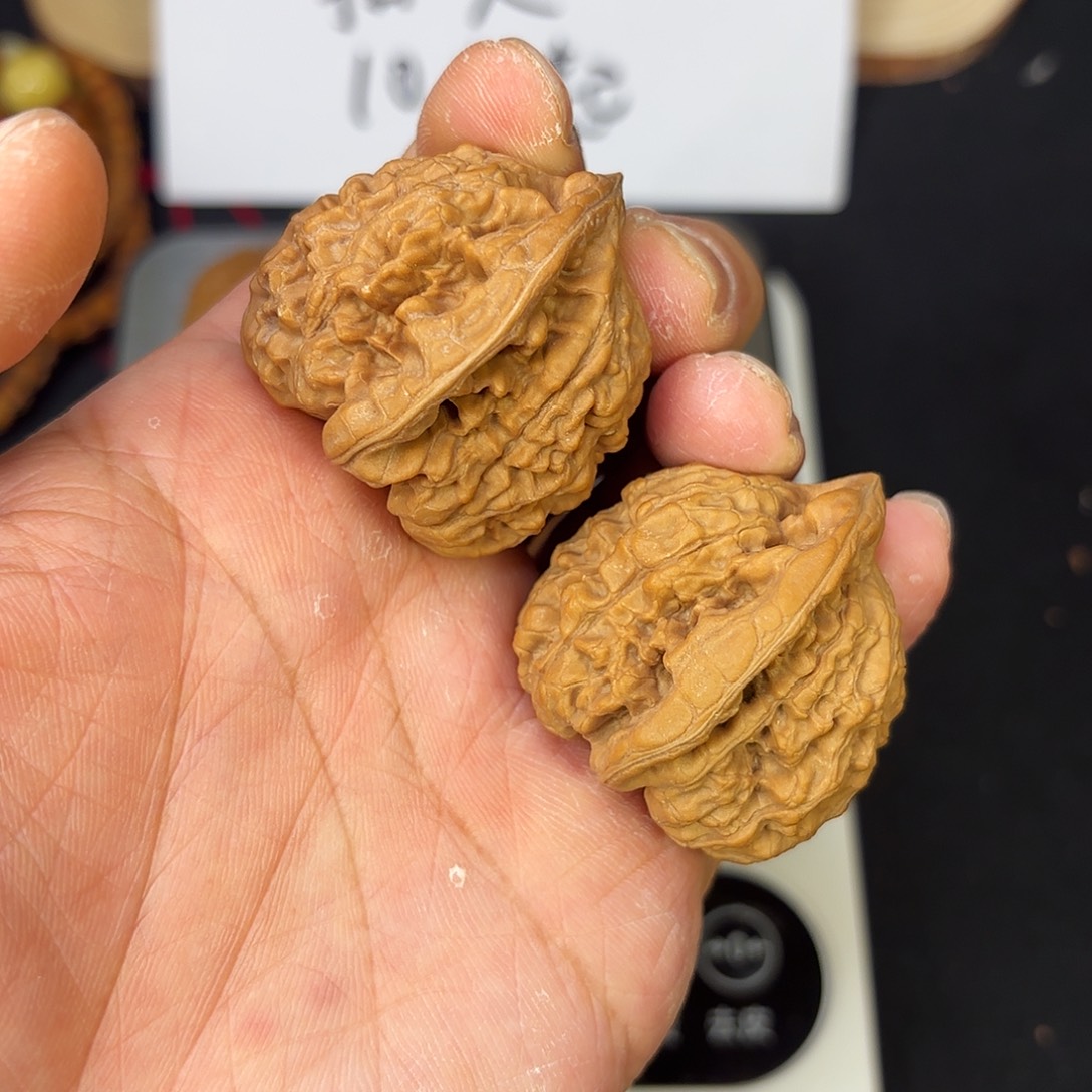 吊坠文玩核桃矮壮全品官帽40尺