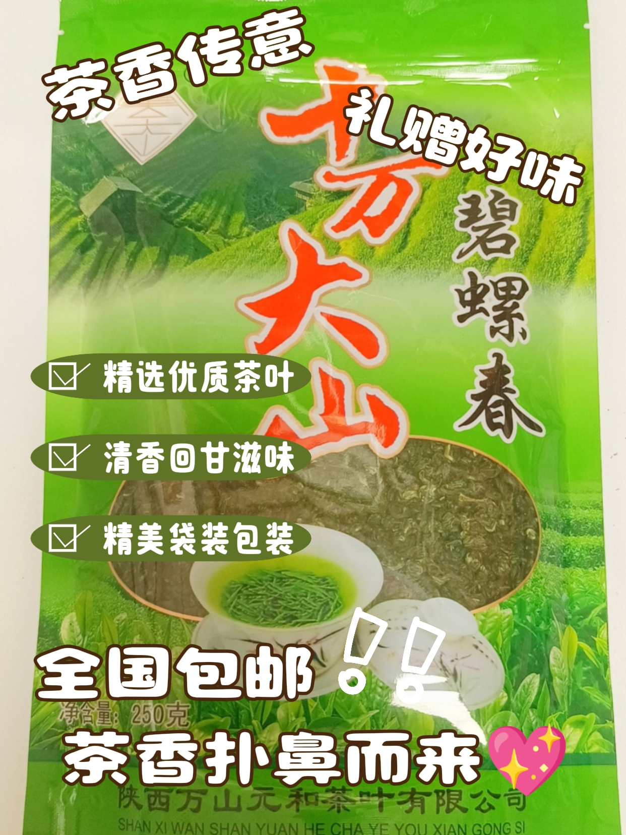 宝鸡十万大山碧螺春浓香型圆形炒青绿茶250克包邮
