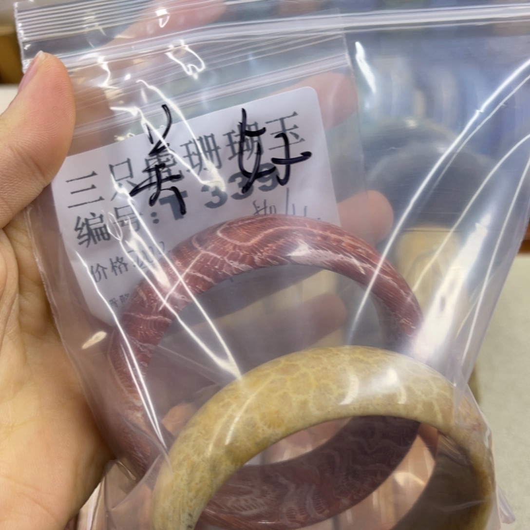 美***格硅化珊瑚（珊瑚玉）未镶嵌h