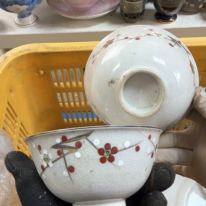 碗开播啦….开播啦