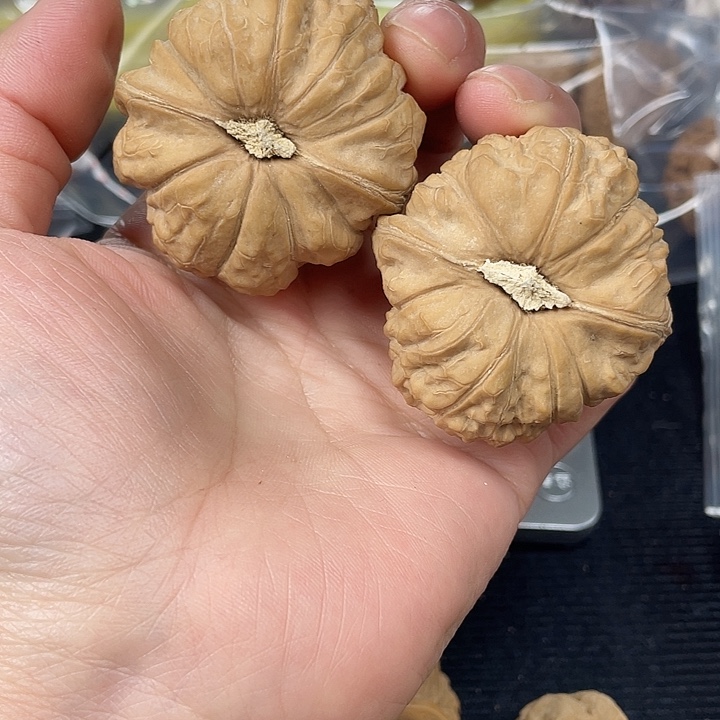 文玩核桃吊坠46尺全品南瓜