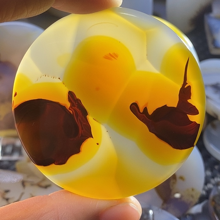 未镶嵌颈饰玛瑙/玉髓