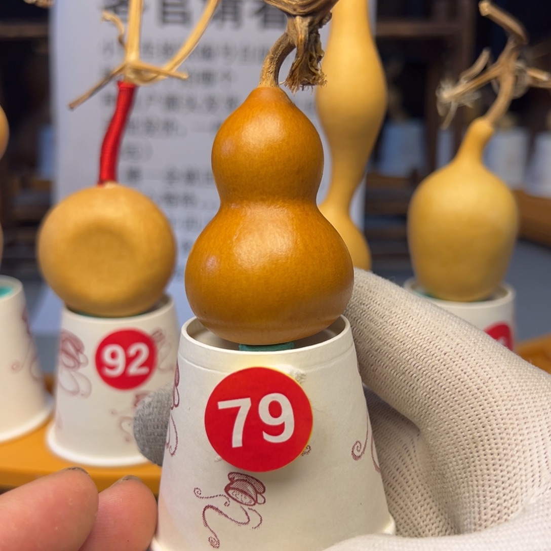 闪电购自助下单编号79