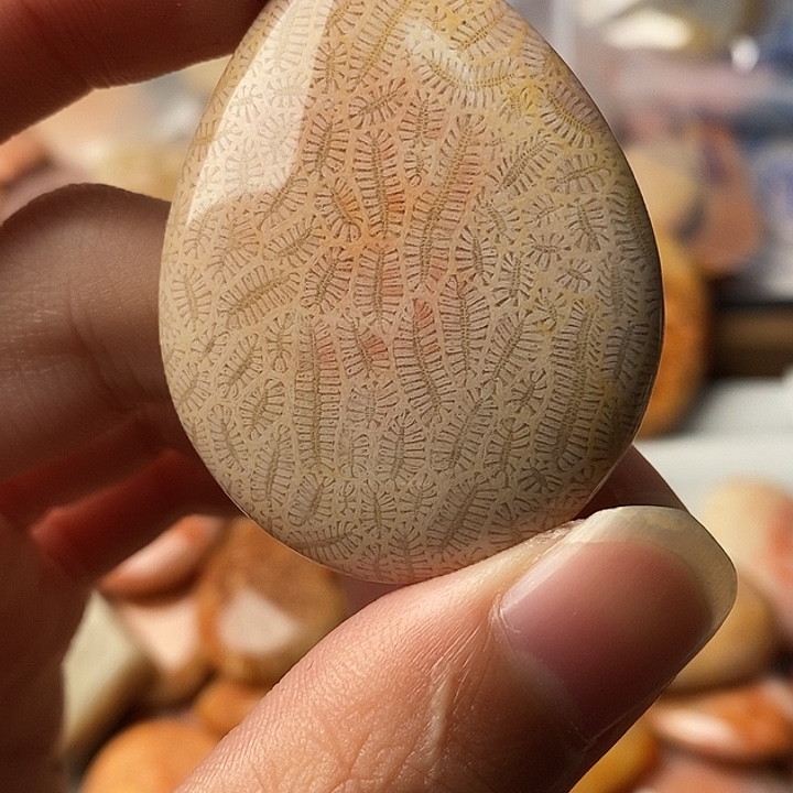 逆***薇硅化珊瑚未镶嵌颈饰