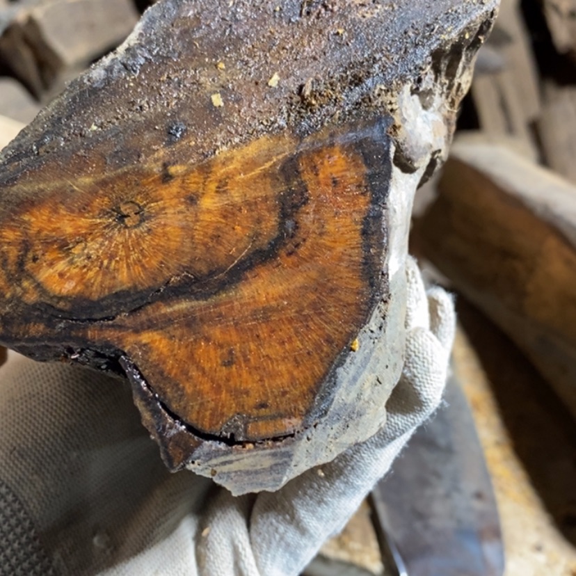 【闪购商品】把件贡木D****G私人订制