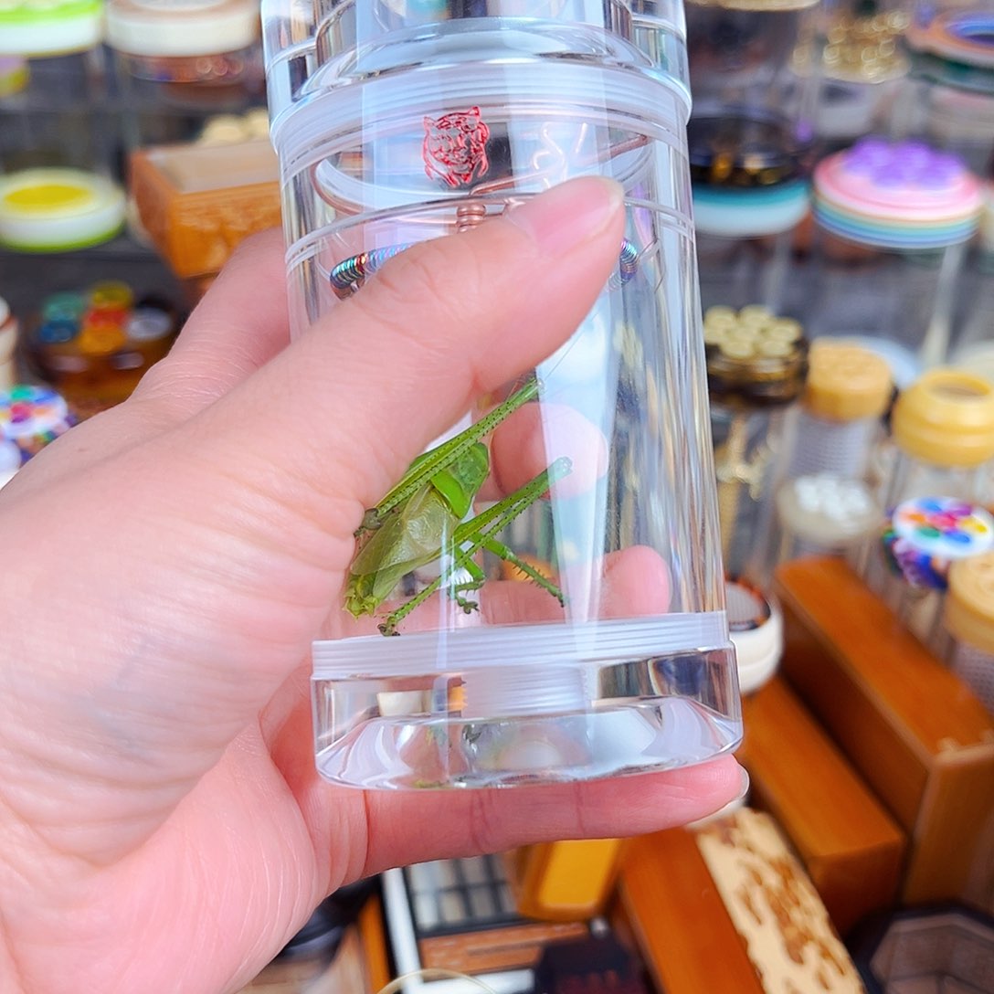 木白色老王罐➕彩簧➕翡翠绿锅锅