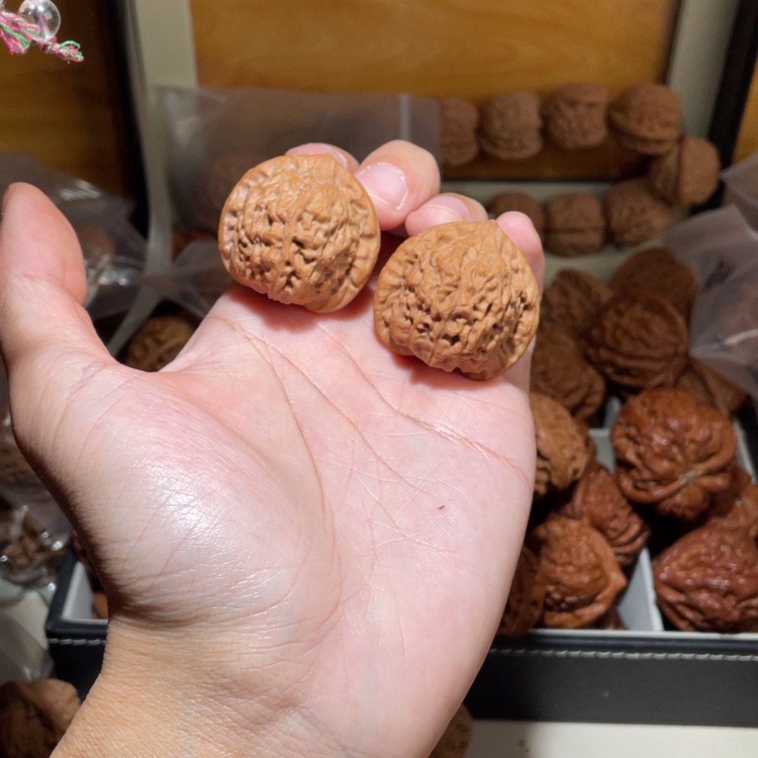 孙***事36尺寸全品无修龙公子