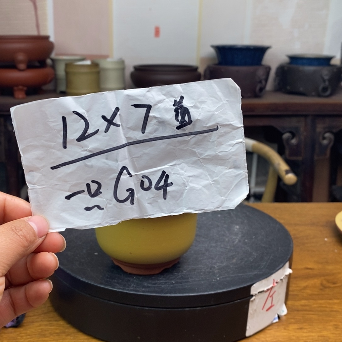 红陶货号一只G04