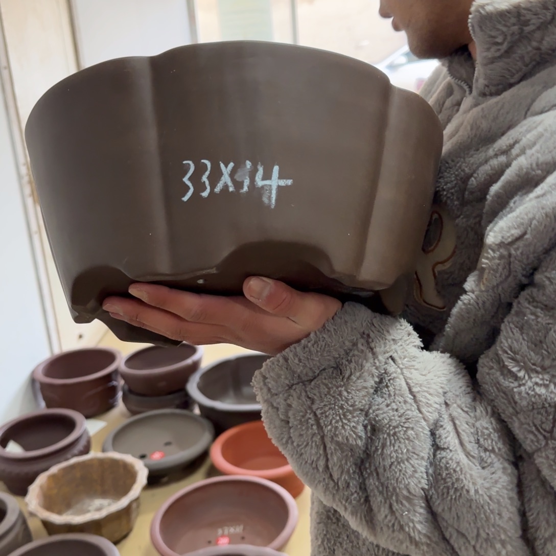 紫砂花盆呜呜呜呜