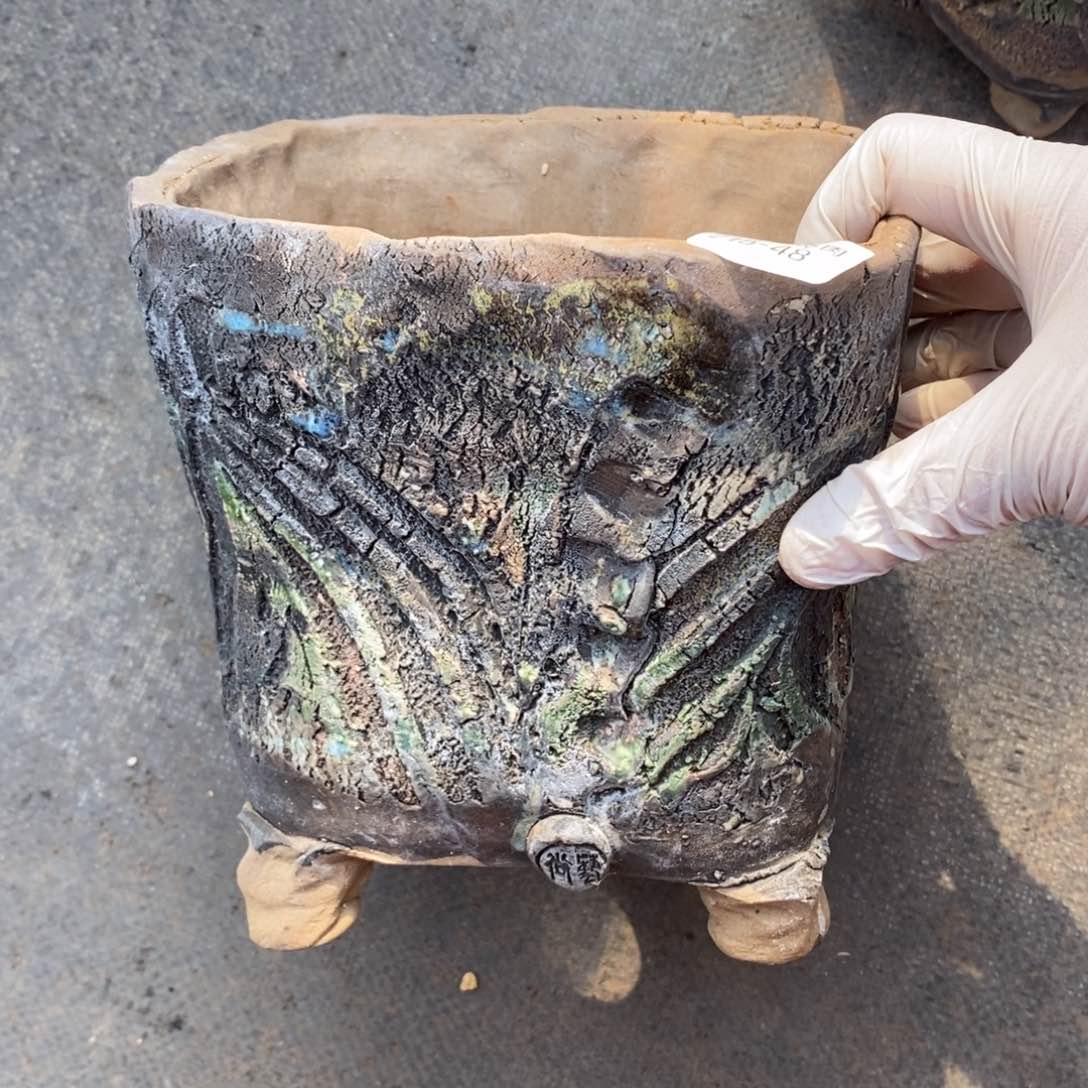 红陶斡****…48号多肉盆一个呀