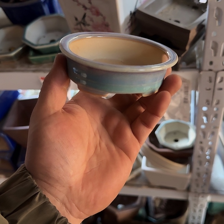 这一期太有意思咯好棒好期待好好看哇期待下