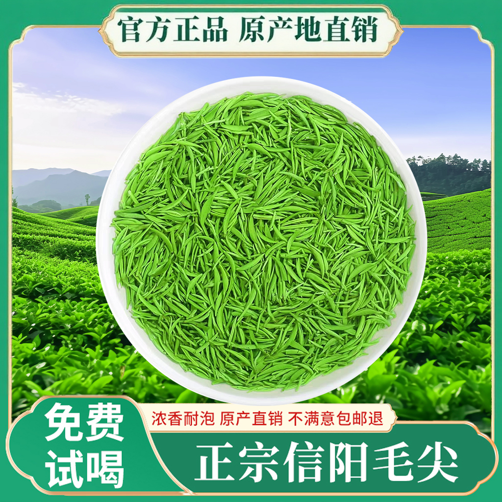 【买半斤送半斤到手一斤】信阳毛尖2025新茶绿茶毛尖茶浓香雀舌
