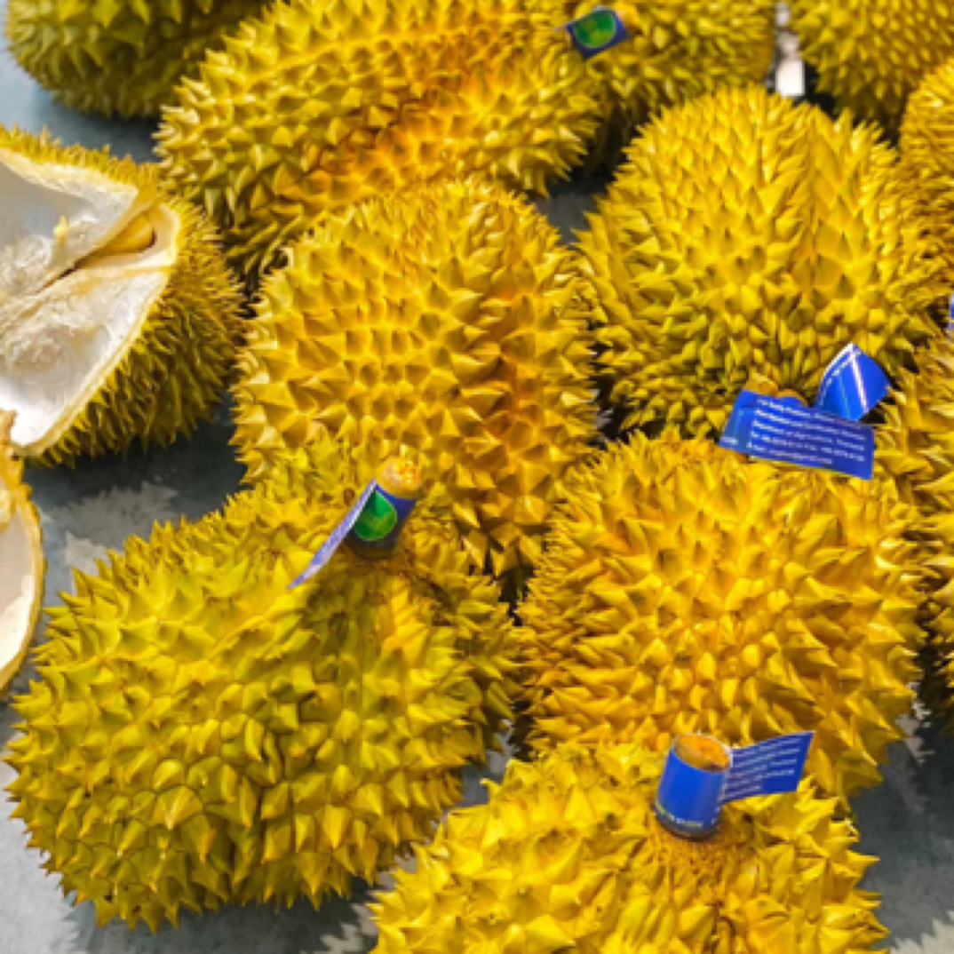 【榴莲小时达】鲜榴莲（5.51斤）金枕核小金枕泰国