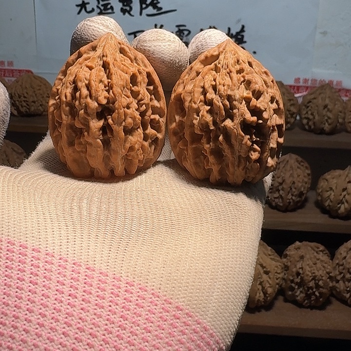 7***丶秦岭野生无名鸡心