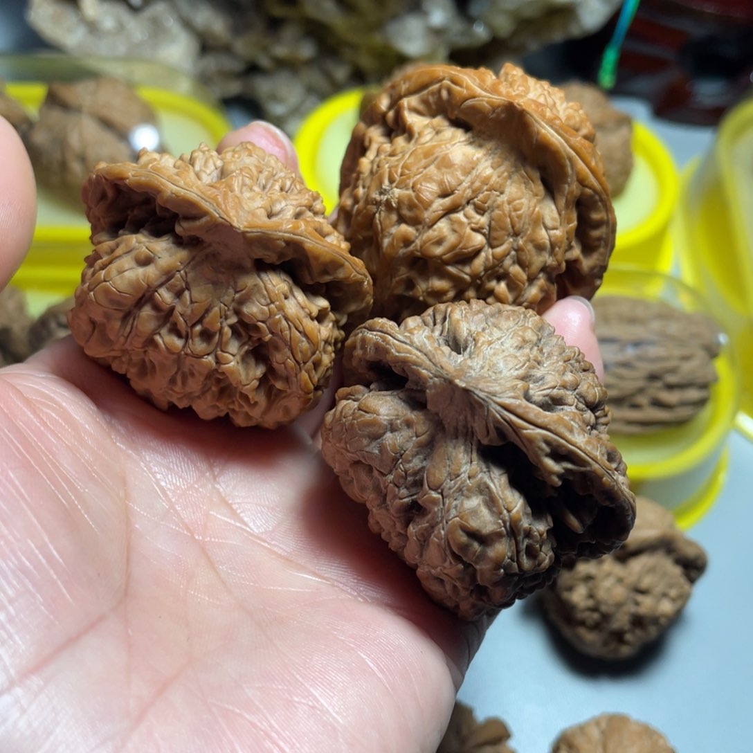 核桃手串/手链精品官帽飞蛇