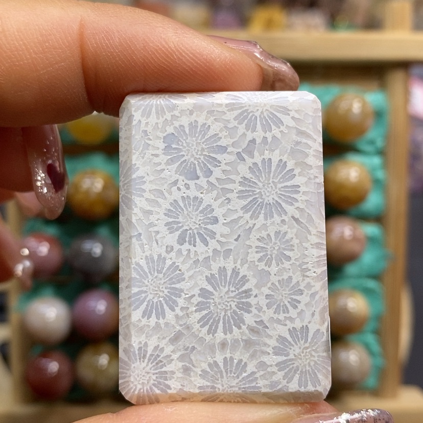 【闪购商品】硅化珊瑚（珊瑚玉）颈饰未镶嵌K98