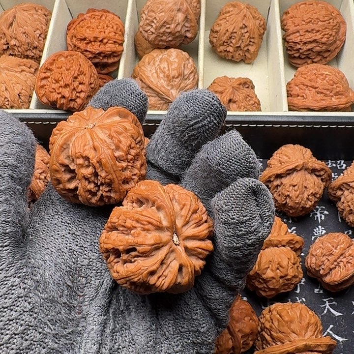 醒***.手串/手链核桃哈哈哈哈哈哈哈哈哈哈