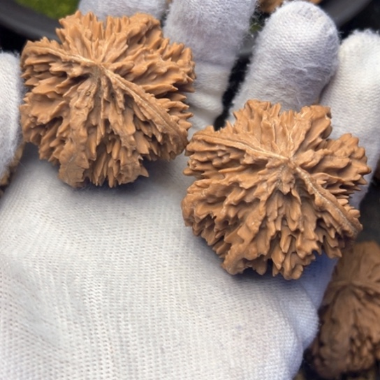 焱***焱文玩核桃把件秦岭核桃18