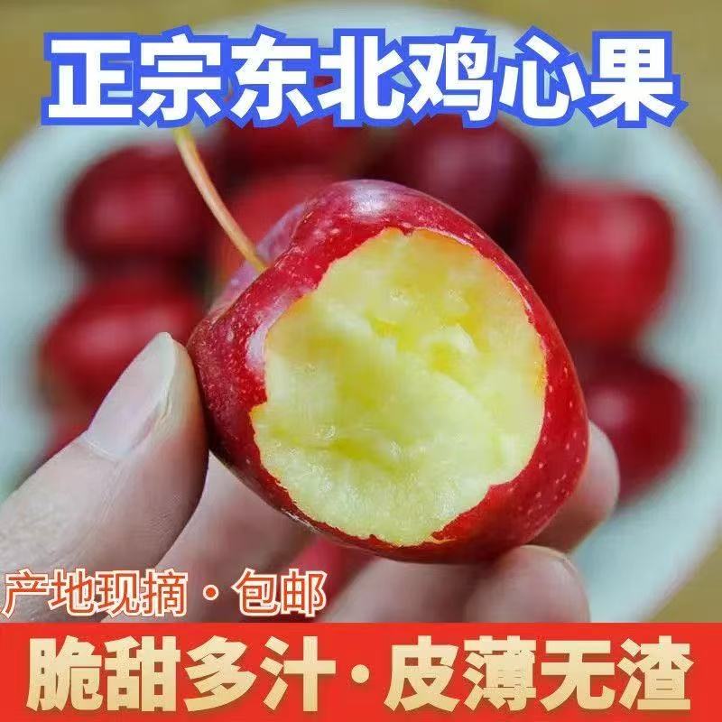 东北特产鸡心果锦绣海棠新鲜脆甜多汁应季水果