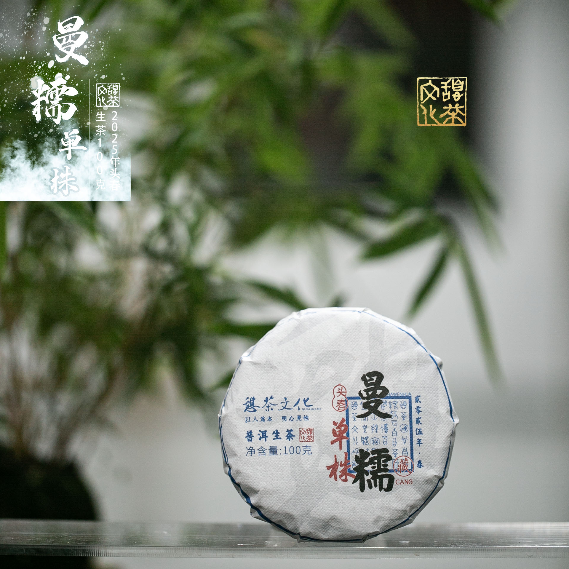 2025年 曼糯单株古树头春 普洱生茶  100克饼