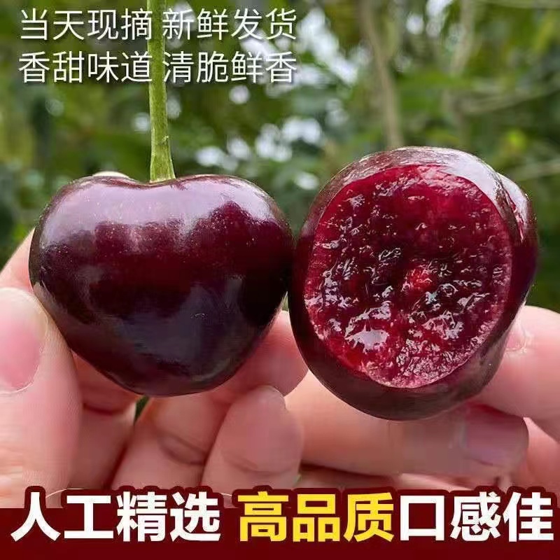 【顺丰冷链-美早】山东大樱桃脆甜新鲜水果空运dy