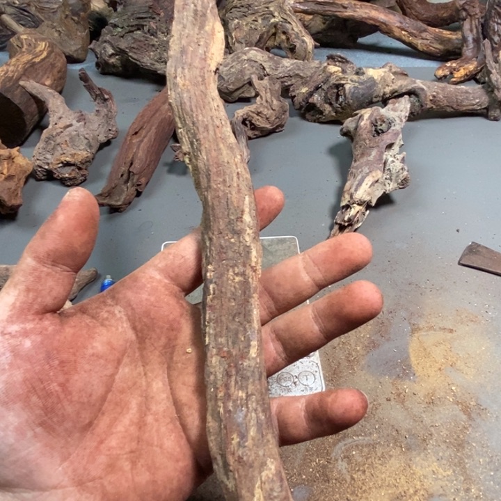 黄花梨/降香黄檀用****5