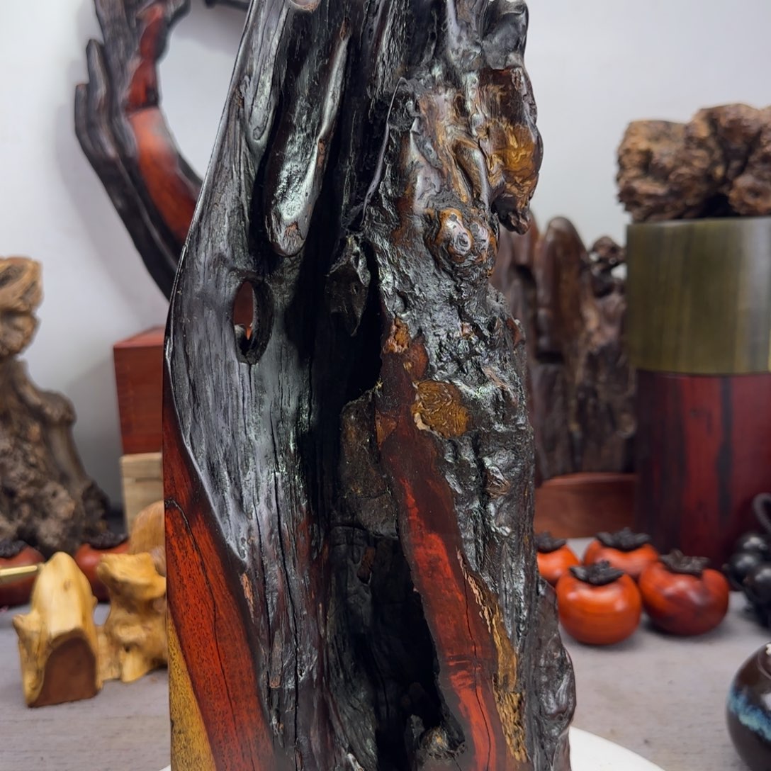 大果紫檀（缅甸花梨）佳*