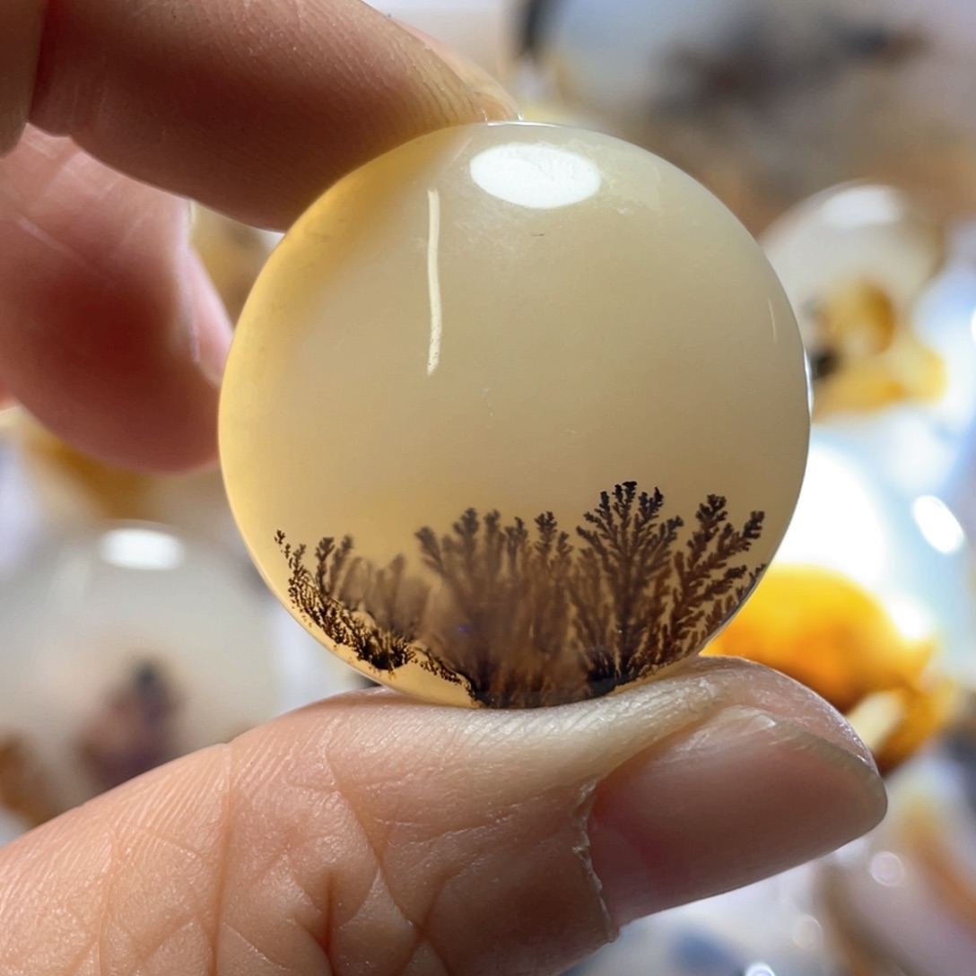 【闪购商品】玛瑙/玉髓颈饰合金