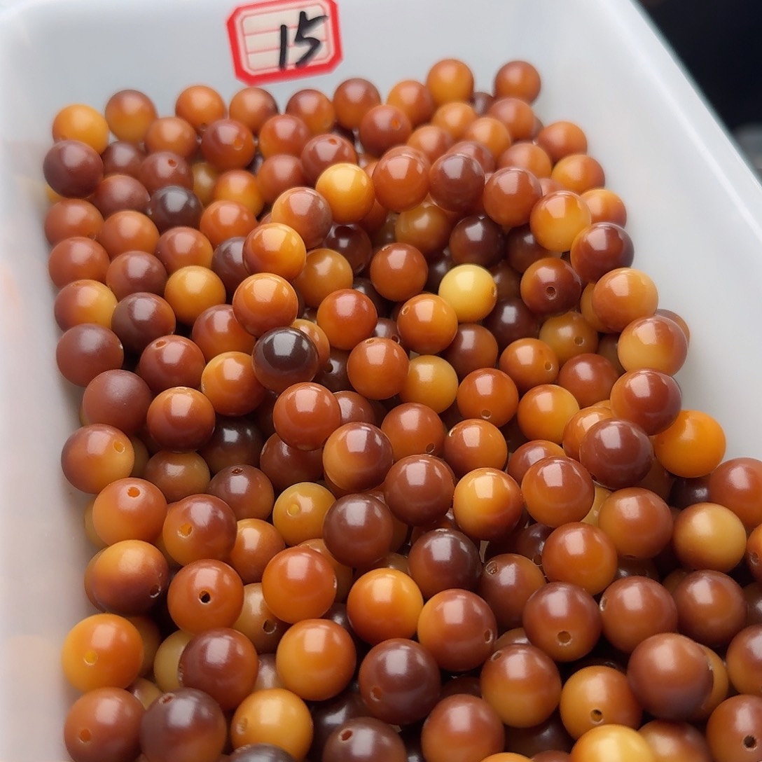 吊坠菩提根/象牙果50 颗油膏可可 12 圆